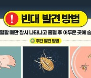 "빈대 나왔다" 아산 원룸에서 출몰 신고…충남권 첫 사례