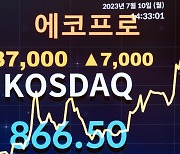 한풀 꺾인 에코프로 형제株…머티리얼즈 IPO 열기도 시들