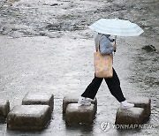 비 내리는 청계천