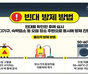 환경부, 내성 덜한 방제용 빈대 살충제 8개 제품 긴급 승인