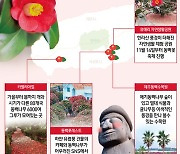 [오늘의 그래픽] 동백꽃 필 무렵 제주로 혼저옵서예