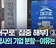 [단독]['대구로' 집중 해부] ③대구로 운영사의 기업 분할···이유는 매각 때문?