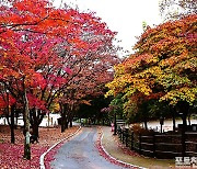 [포토친구] 팔공산 파계사 가는 길