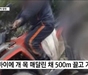 오토바이에 개 매달고 500m 질주… 70대 견주 입건