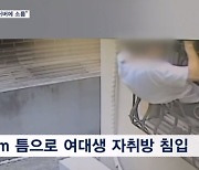 "올려진 변기 커버에 소름"…여대생 자취방 침입해 PC 쓰고 립밤 훔쳐