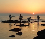 [속보] ‘제주해녀어업’ FAO 세계주요농업유산 등재