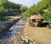 '시화호 30주년' 시흥시, 옥구·군자천 5.2km 생태 복원 추진