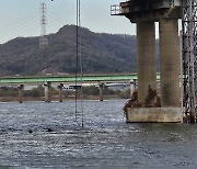 경북 고령 낙동강 다리에서 차랑 추락…40대 운전자 숨져