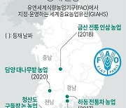 [그래픽] 한국 FAO 세계중요농업유산 등재 현황