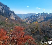 설악산 8600명…쌀쌀한 날씨에도 강원 관광지 나들이객 발길