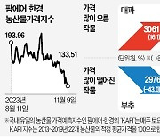 여름 폭염 여파 11월까지…대파값 1주 새 16% 올라