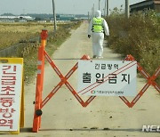 고창 해리면 한우농가 럼피스킨 확진…전북 5번째, 고창 4번째(종합)