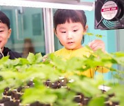 증평 '인삼문화의 날 체험마켓 축제' 성료…"인삼대중화 기여"