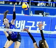 '아베크롬비 20득점' IBK기업은행, 도로공사에 3-0 완승…대한항공, KB손해보험 꺾고 4연승