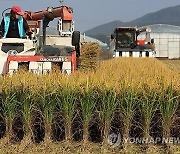 보은군 "내년 농가서 일할 근로자 40명 모집"