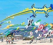 SPAIN KITE FESTIVAL