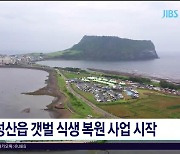 성산읍 갯벌 식생 복원 사업 시작