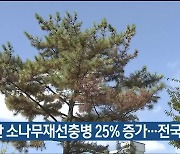 울산 소나무재선충병 25% 증가…전국 4번째