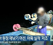 러시아 원정 채낚기 어선, 어획 실적 ‘저조’