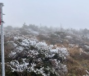 이른 추위에 한라산 '첫눈'…지난해보다 18일 빨랐다