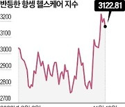 "반부패 감사 줄일 것"…항셍 헬스케어 한 달 10%↑