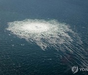 "러시아 가스관 폭파, 우크라군 대령이 주도"