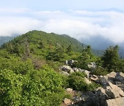 [단독]양양군, 설악산케이블카 적자를 흑자로 포장···경제적 편익 1200억 넘게 부풀려