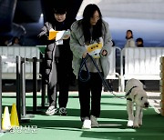 “제 반려인 잘하죠?”[포토뉴스]