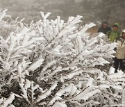 제주 한라산에 '첫눈'…지난해보다 18일 일러