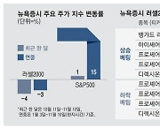 지지부진한 美중소형주 … 월가 큰손은 "낙관적"