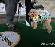 ‘나와 반려견 호흡은 몇 점?’ 서울시, 반려견 실기시험 개최[뉴시스Pic]