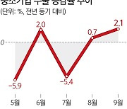 K뷰티 효자 부상… 중기, 수출 플러스로 전환