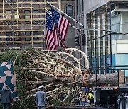 Christmas Tree Rockefeller Center