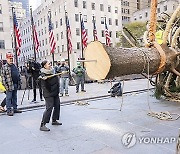 2023 Rockefeller Center Christmas Tree Arrival