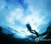 자연·이웃과 공생 '제주해녀어업', 세계중요농업유산 등재 결정