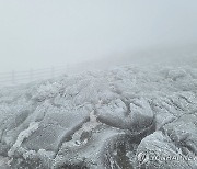 남녘 섬 제주 한라산에 첫눈