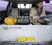 한혜진, 직접 설계한 홍천 별장 공개…럭셔리 인테리어 '눈길' [RE:TV]