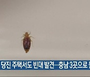 당진 주택서도 빈대 발견…충남 3곳으로 늘어