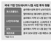 인도네시아産 니켈도 IRA수준 혜택 추진…포스코·LG·LX '화색'