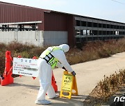 고창 한우농가서 또 럼피스킨 의심…정밀 검사 의뢰