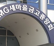 '감독권 이관' 없는 새마을금고 혁신안...부실·비리 없어질까?