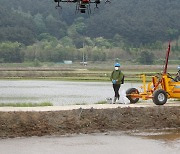 태안군, 직파재배 확대 기술지원 시범 사업 '호응'