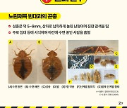 수원시, ‘빈대 신고센터’ 운영으로 ‘빈대 제로’ 도전