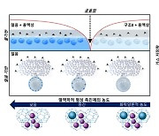 GIST, 천연가스·수소 저장량 극대화 '가스 하이드레이트' 원천기술 개발…탄소중립 실현