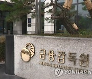 [단독] ‘아직도 진행 중?’ 금감원... 접수부터 처리까지 50일 걸린다