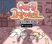 집사님들 파괴냥 본능 공감하시죠? “우리집 고양이는요”