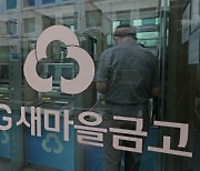 60년 최대 위기 새마을금고, 중앙회 회장 권력 분산...부실금고 퇴출