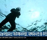 세계중요농어업유산 ‘제주해녀어업’, 대백과사전 등 추진