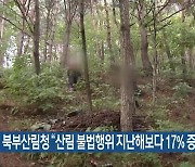 북부산림청 “산림 불법행위 지난해보다 17% 증가”