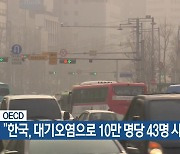 [기후는 말한다] OECD “한국, 대기오염으로 10만 명당 43명 사망”